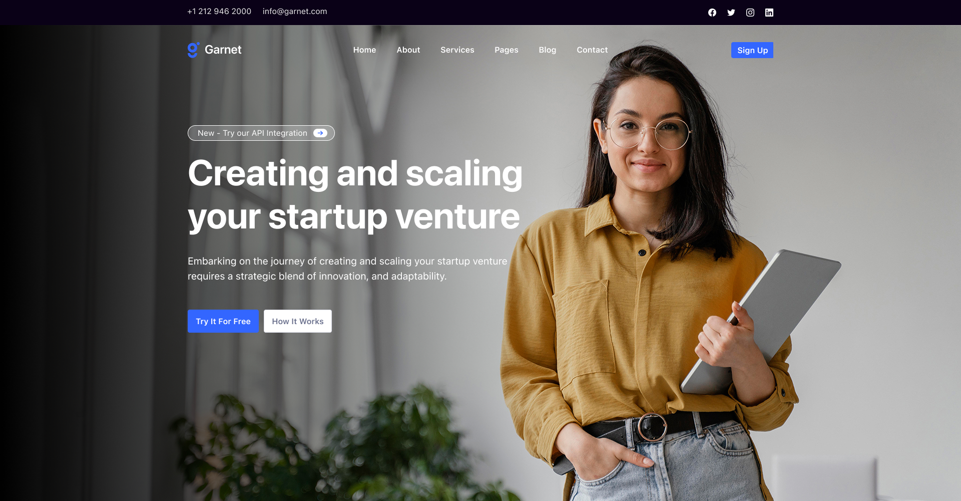 EchoWorks consulting landing page concept